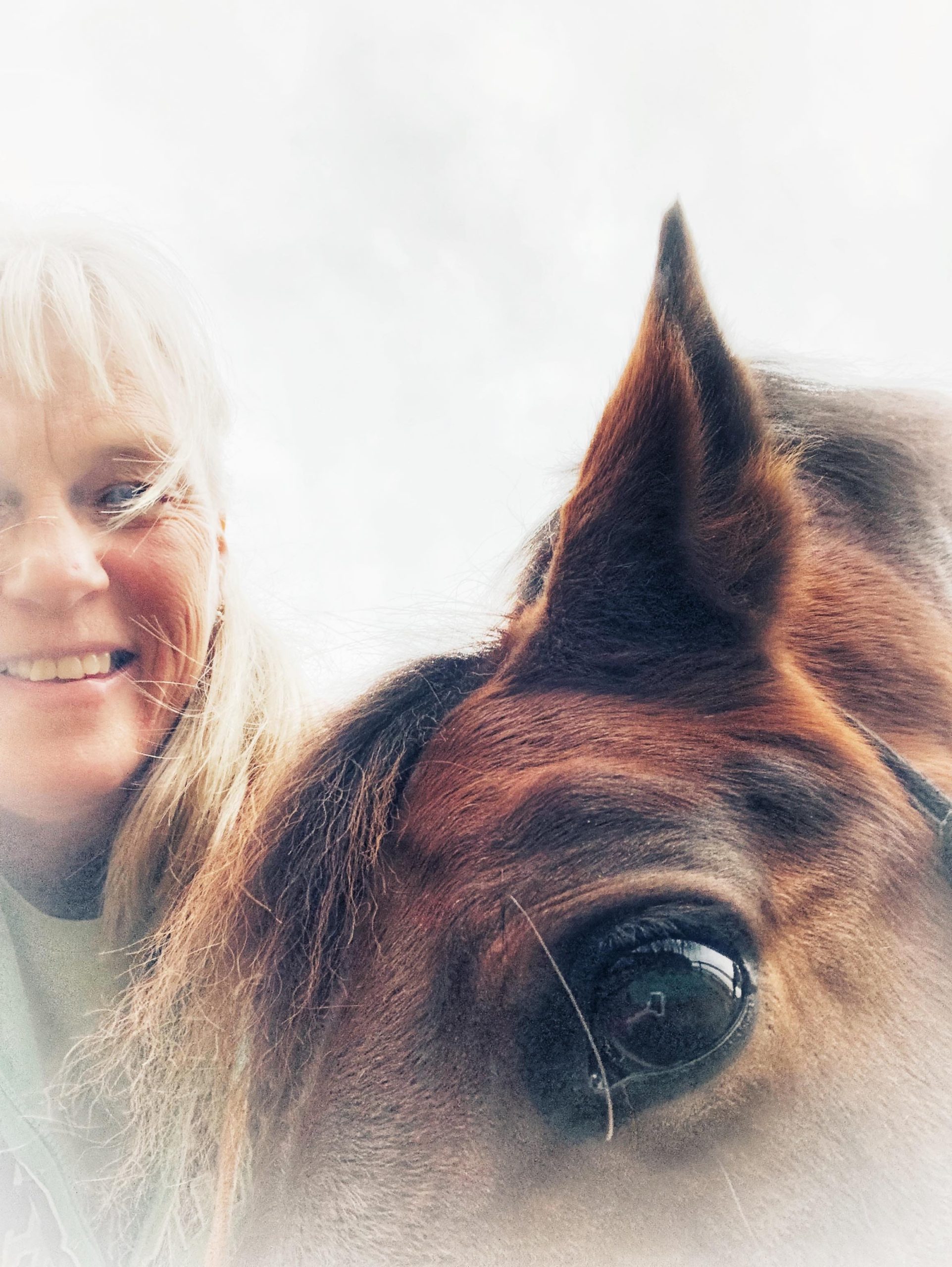 Selfie of the author with a brown horse