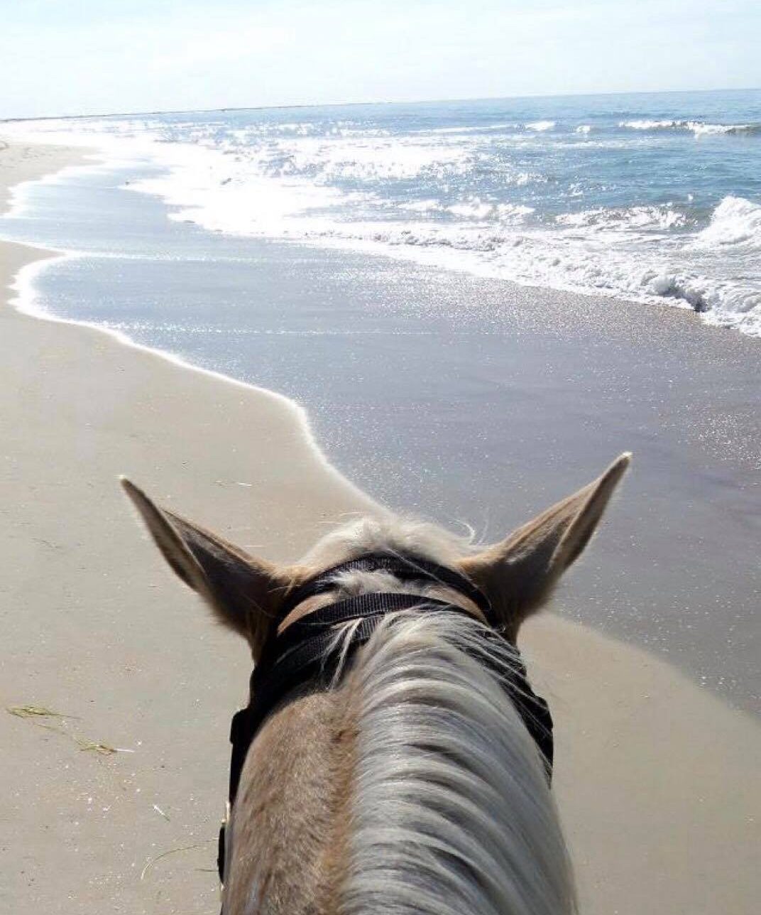 view of the surf from the saddle 